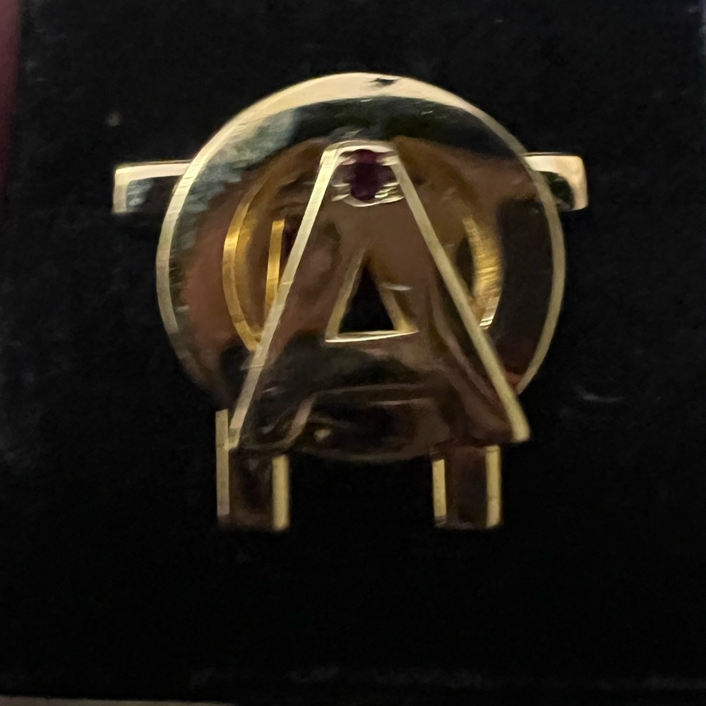 Alpha Omnicron Pi Pin